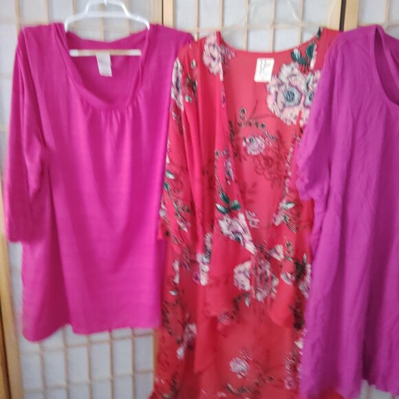 LOT OF 5/$20 WOMENS TOPS BLOUSES TUNIC HAUTE PROJECT SUSAN GRAVER PLUS SIZE 3X - Picture 4 of 4